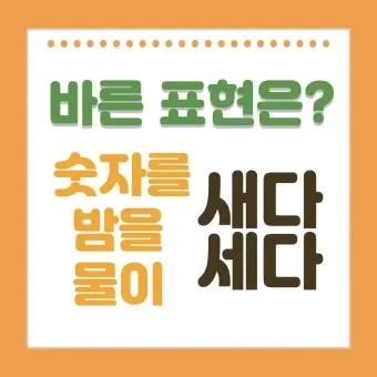 물이 세다 새다 맞춤법 맞는 표현_18