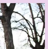 허리디스크 다리저림