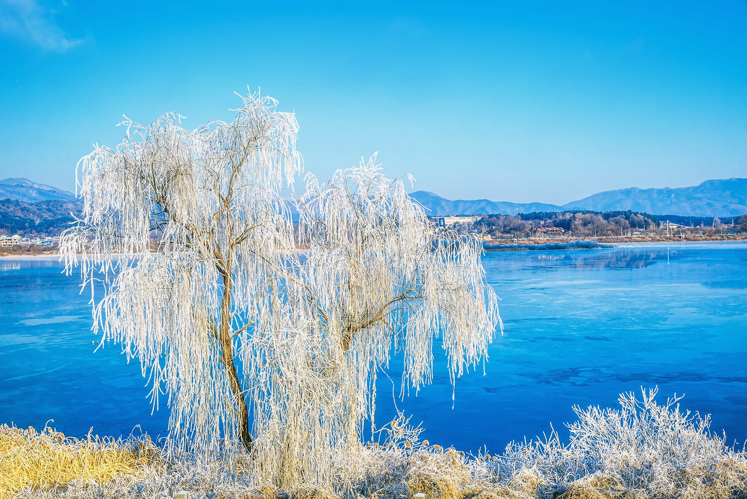 춘천 상고대 명소1