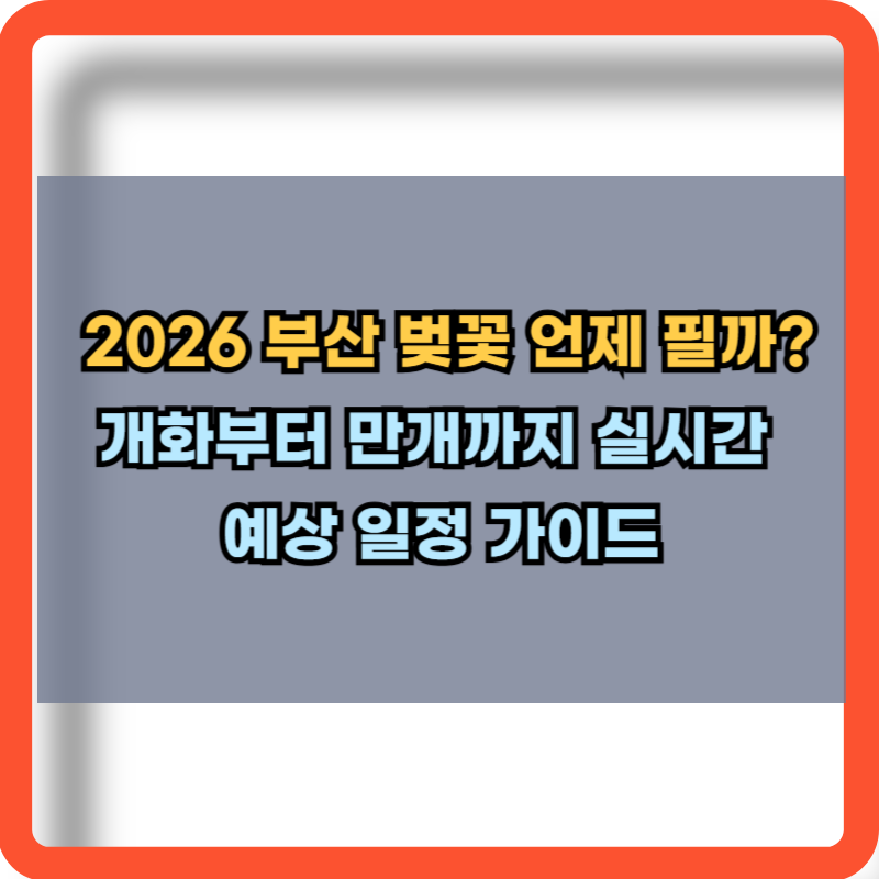 2026 부산 벚꽃 개화부터 만개시기 정보