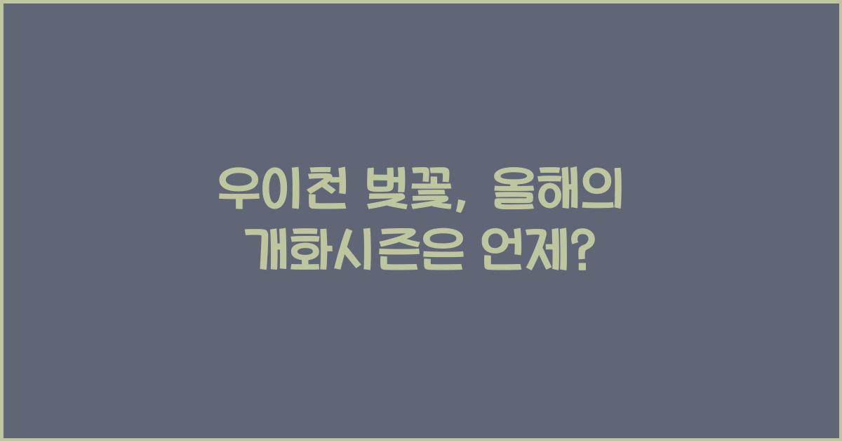 우이천 벚꽃
