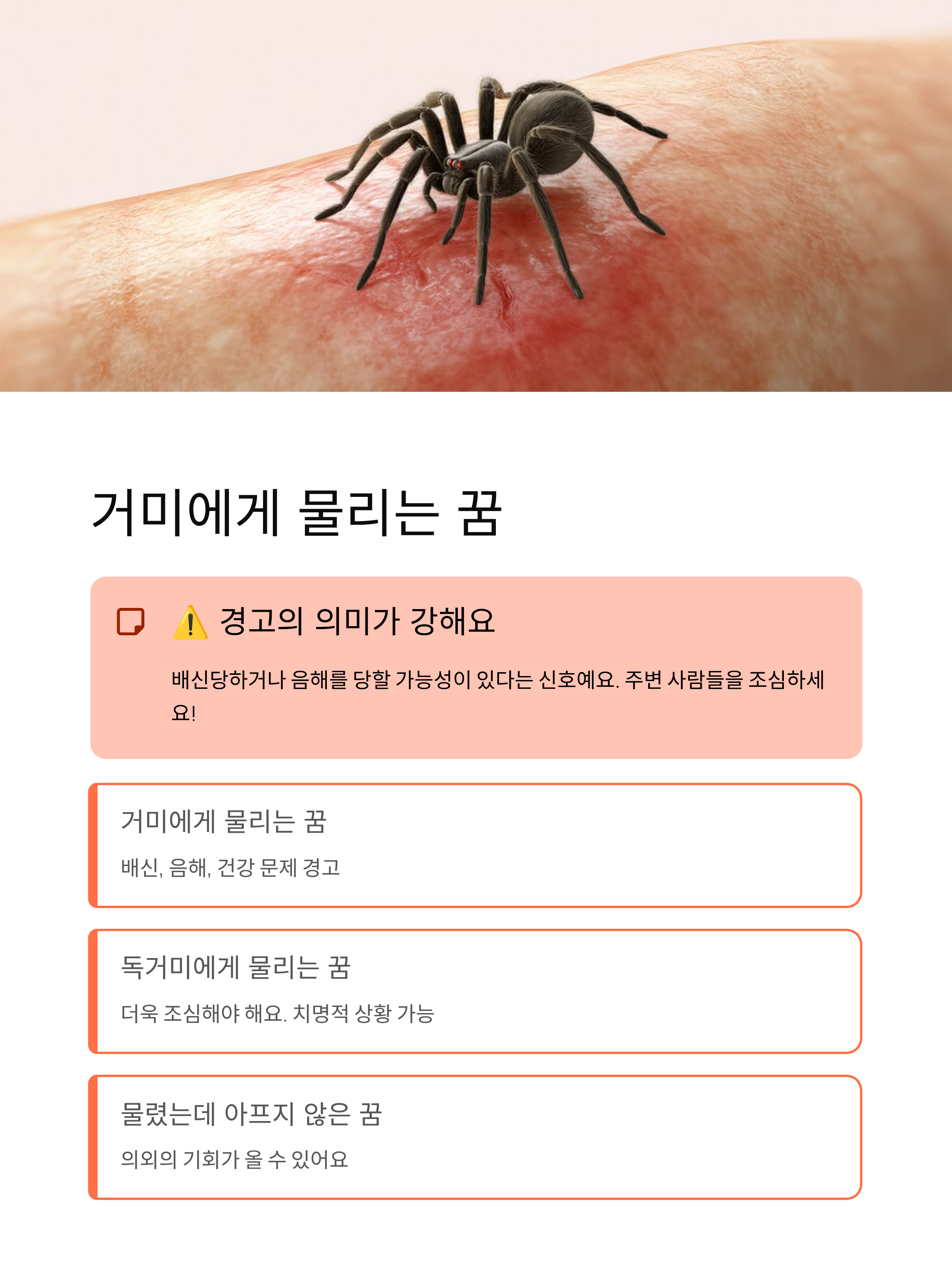 거미꿈 해몽 총정리, 큰거미·거미줄·물리는꿈 완벽 분석!