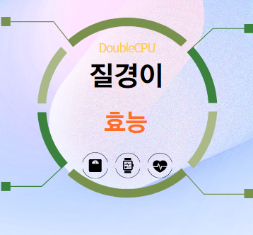 질경이 효능 탐구