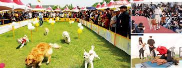 2024 제 39회 의견문화제와 함께하는 임실 N펫스타 기본일정과 특징 소개 이찬원 장민호 양지원 황윤성 오로라 송대관 출연