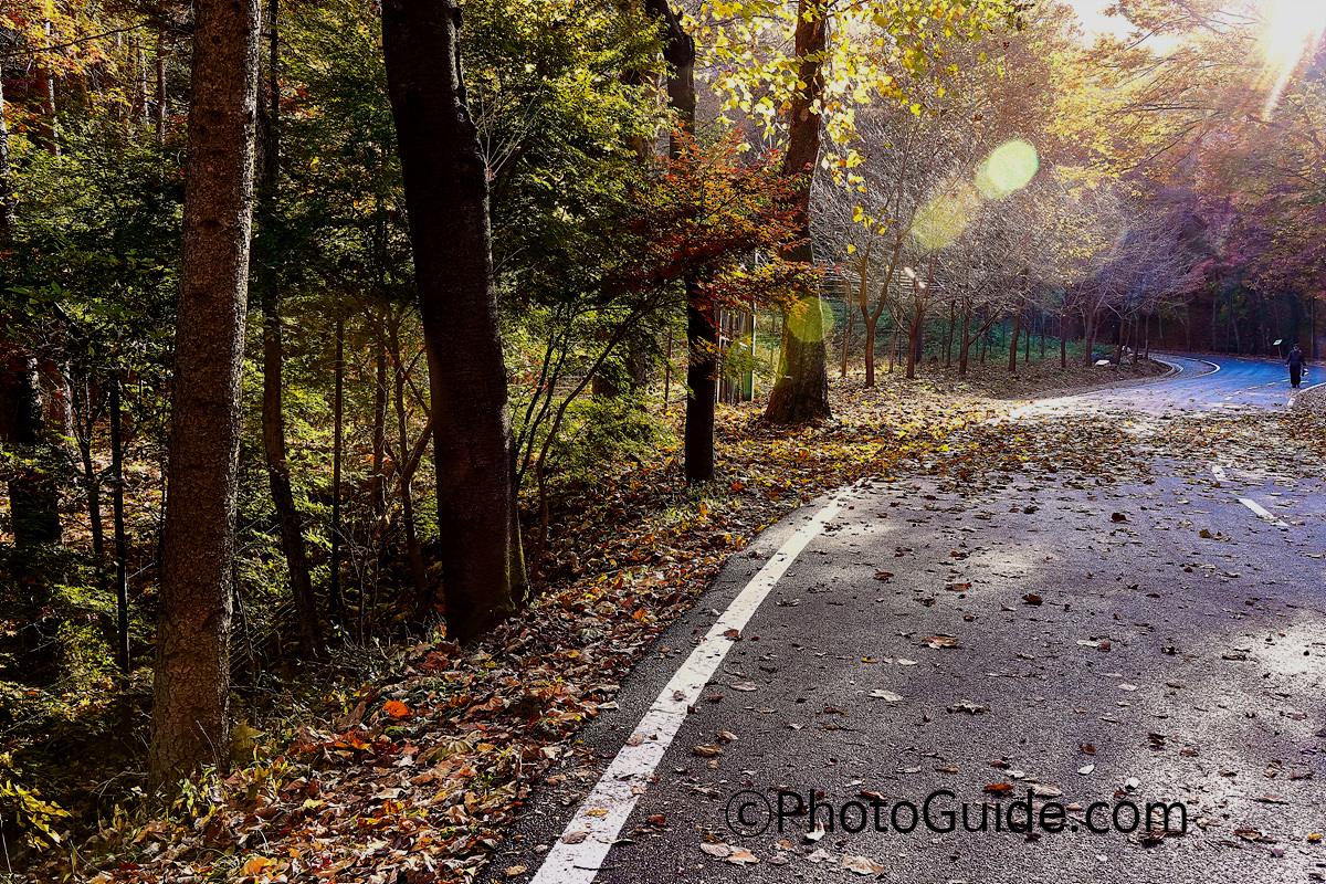 포토가이드 photoguide.com 가을 둘레길