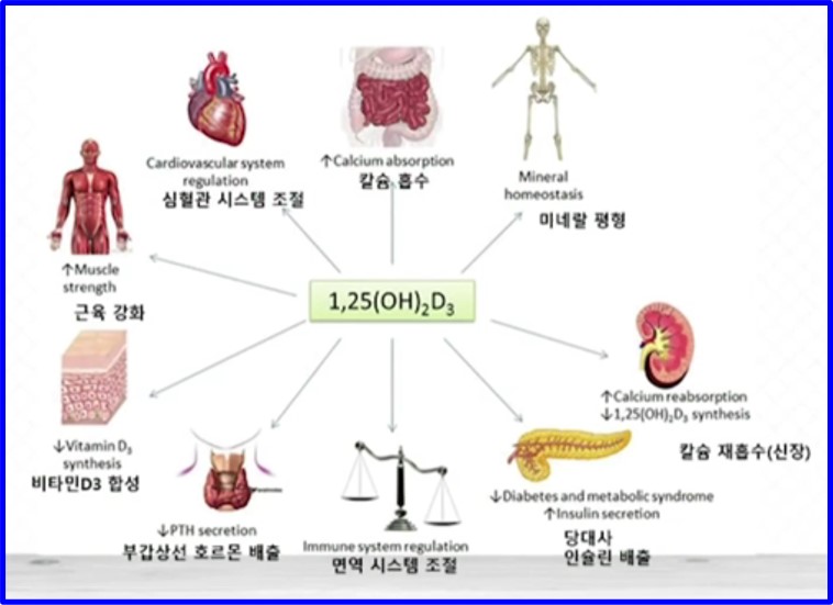 비타민D