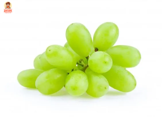 심혈관 건강 지원 샤인머스켓