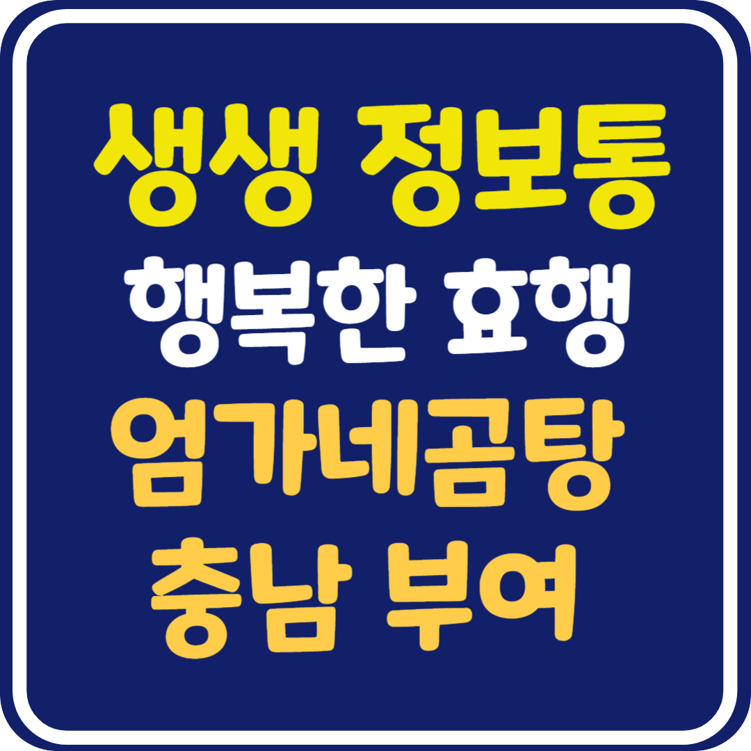생생 정보통 맛집오늘방송 부여 곰탕 맛집 : 행복한 효행할까요?