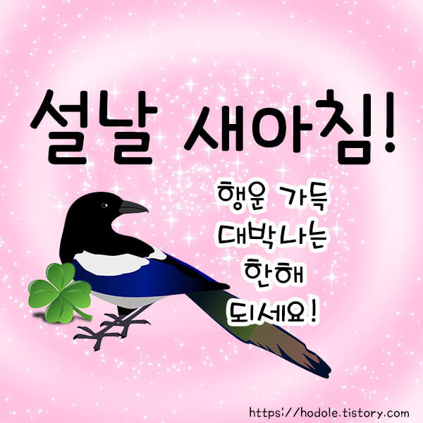 설날새아침