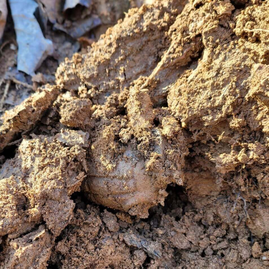 한국전쟁에 실제로 사용된 밀즈