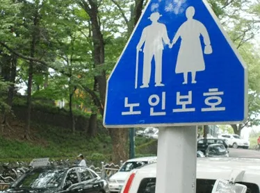 노인보호구역 범칙금
