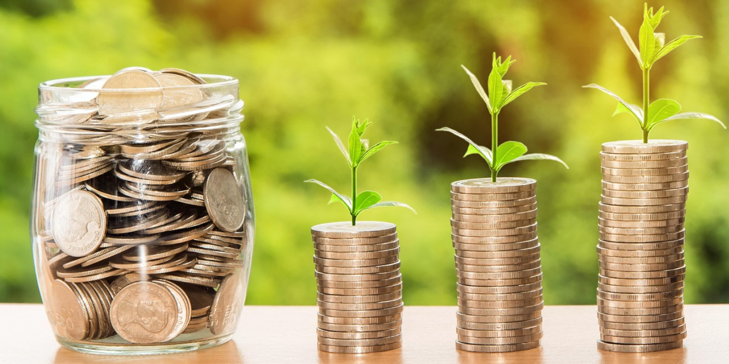 쌓인 동전 위에 새싹