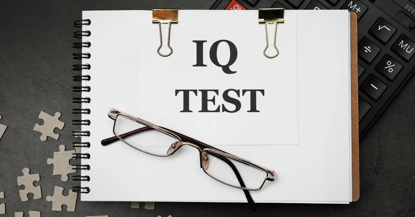 무료 IQ테스트 사이트