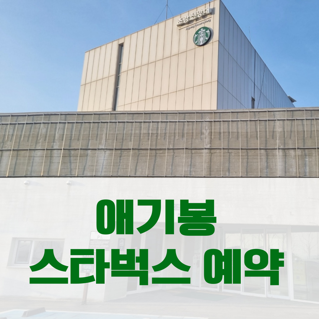 애기봉 스타벅스
