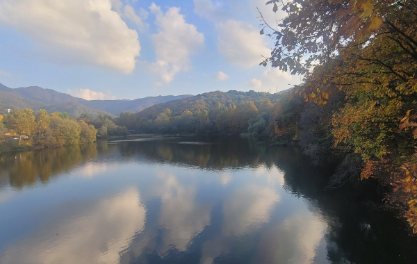서울대공원 호숫가