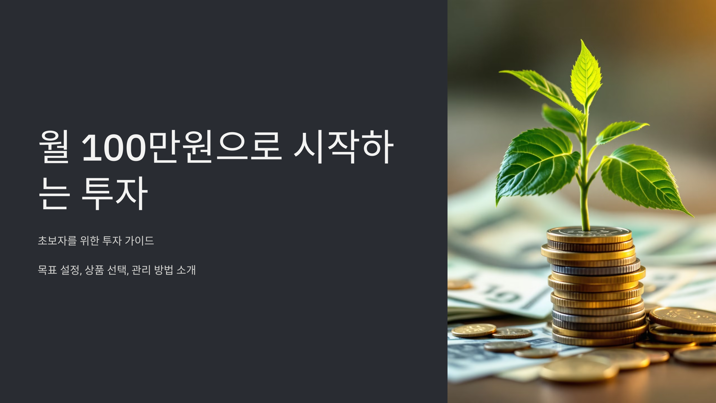 월 100만원으로 시작하는 투자