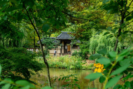 전통 우물 문화 &ndash; 마을의 중심이던 물길 이야기