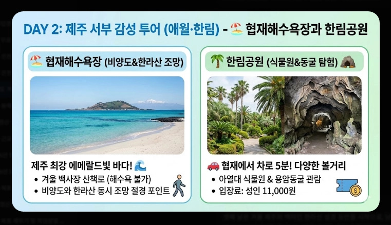 제주도 겨울 여행 3박4일 일정표 완벽 가이드 2026