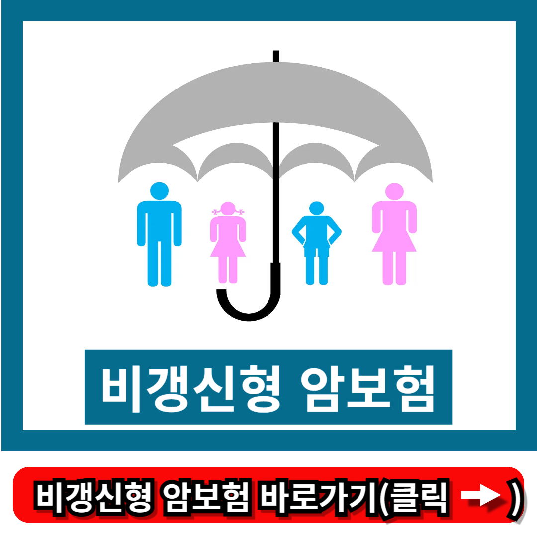 비갱신 암보험