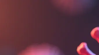 바이러스