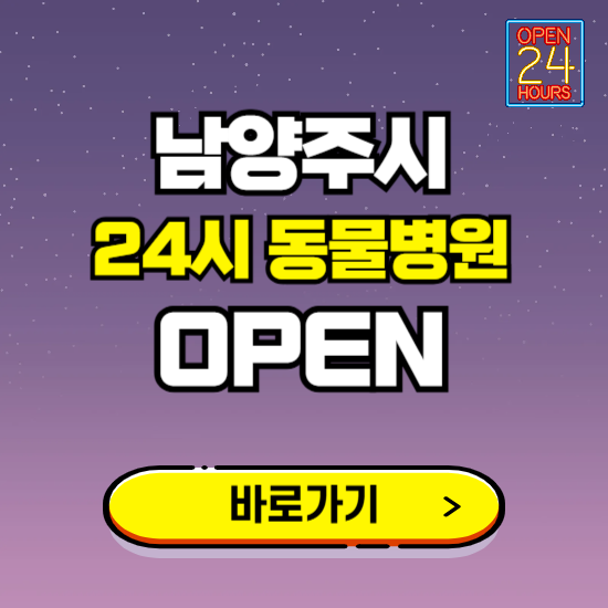 남양주시 24시 동물병원 진료하는 곳 ❘ 설날 휴일 야간 심야 문여는곳 찾기 ❘ 응급진료