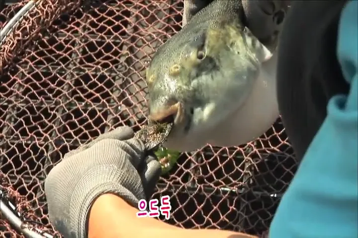 황복명가