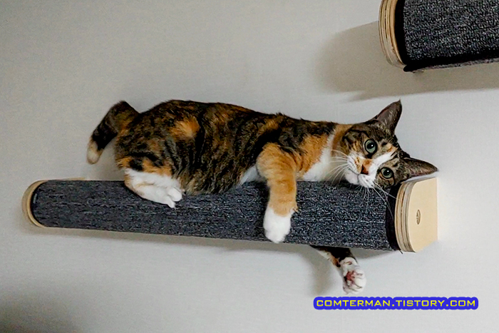 딱폴 750 캣워커 스텝