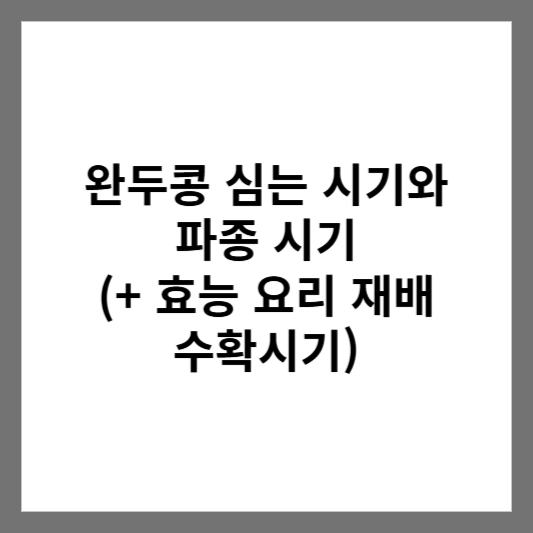 완두콩 심는 시기와 파종 시기 (+ 효능 요리 재배 수확시기)