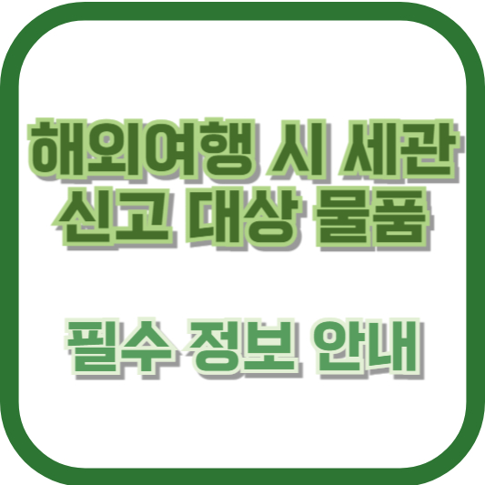 해외여행 시 세관 신고 대상 물품