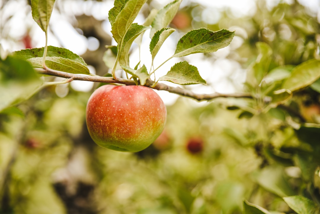 Agricultural
