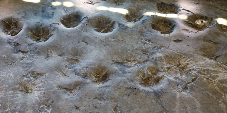 해남 공룡박물관