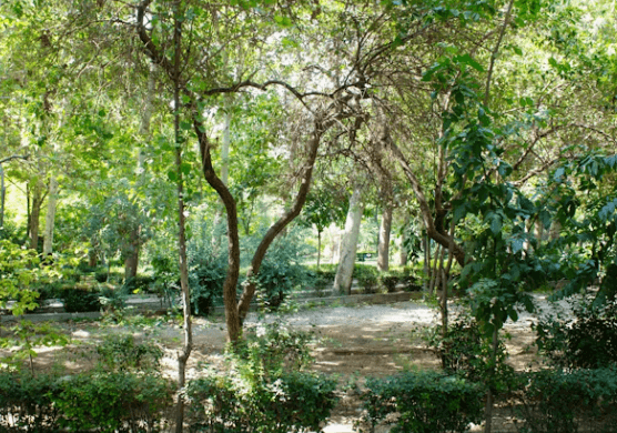 대전 빵집 순례 코스: 성심당부터 숙소 예약까지