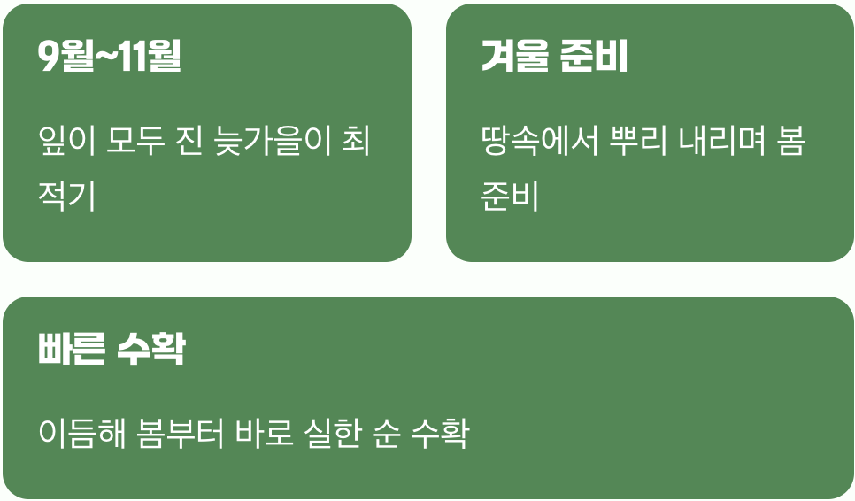 최고의 타이밍&amp;#44; 가을 심기 (9월~11월)