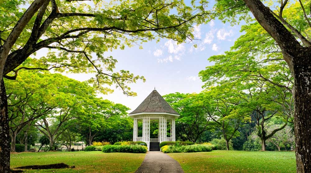 유네스코 세계유산 싱가포르 식물원