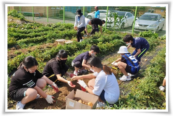 &quot;10월에 심기 좋은 작물 추천&quot; 10월, 새로운 계절을 준비하는 시간...