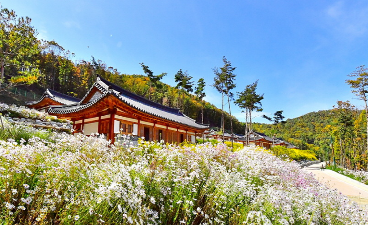 속리산 숲체험휴양마을