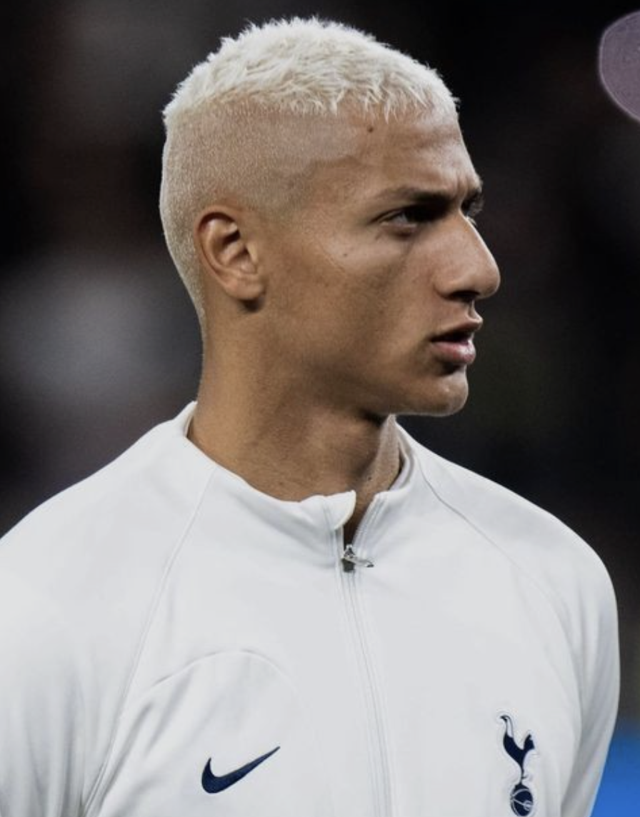 메디슨 히샬리숑