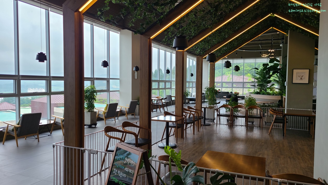 대관령-순수양떼목장