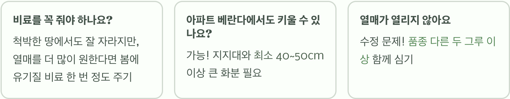 실패 없는 으름나무 키우기 A to Z (모종 심기, 물주기, 유인)