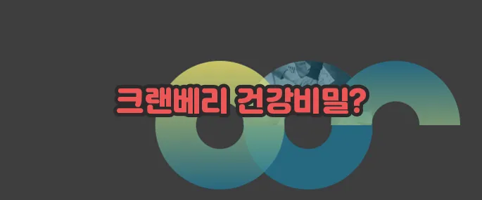 크랜베리의 효능 한번 정확하게 알아보도록 하죠