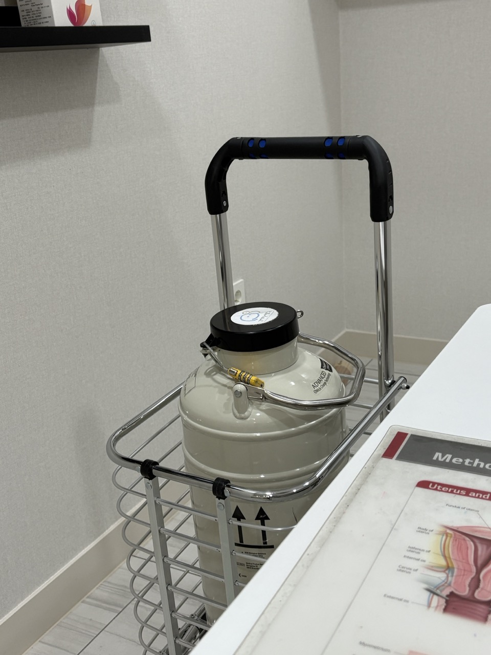 동결배아 이관 후기