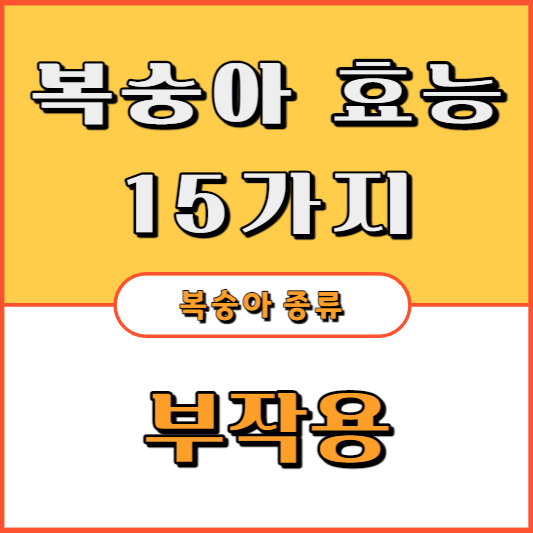 복숭아-효능-15가지-부작용-종류