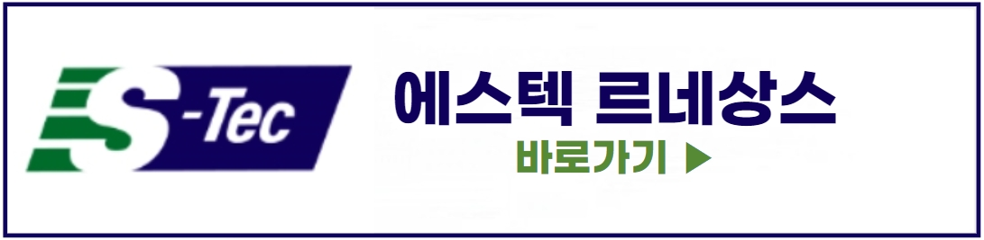 에스텍 르네상스