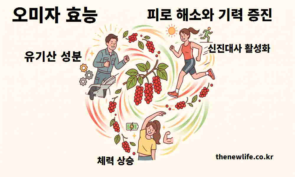 오미자 효능 피로 해소 기력 증진