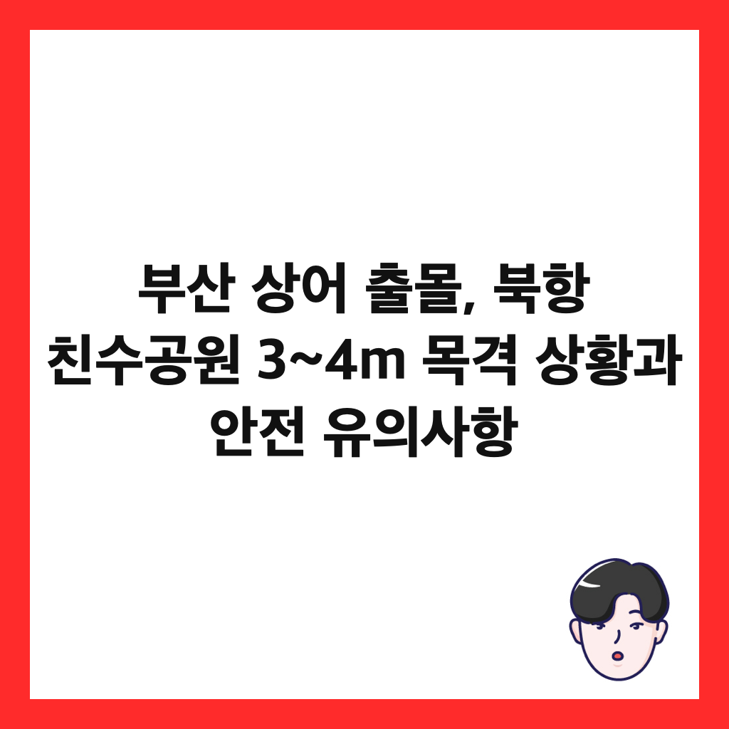 부산 상어 출몰, 북항 친수공원 3~4m 목격 상황과 안전 유의사항 썸네일