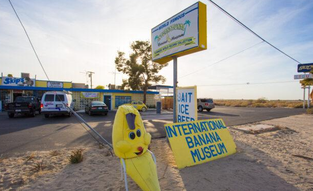 바나나 박물관 사진