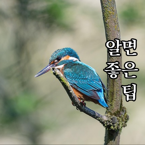 2025 광진구 어르신 건강검진 혈액..