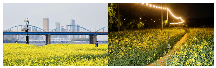 5월 축제 및 행사 서울 2024