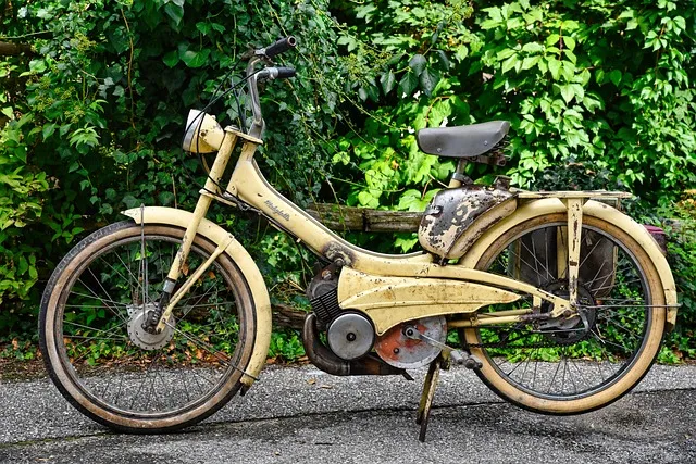 동네한바퀴 관악 샤로수길 대파크림수제비 파새참 정보_8