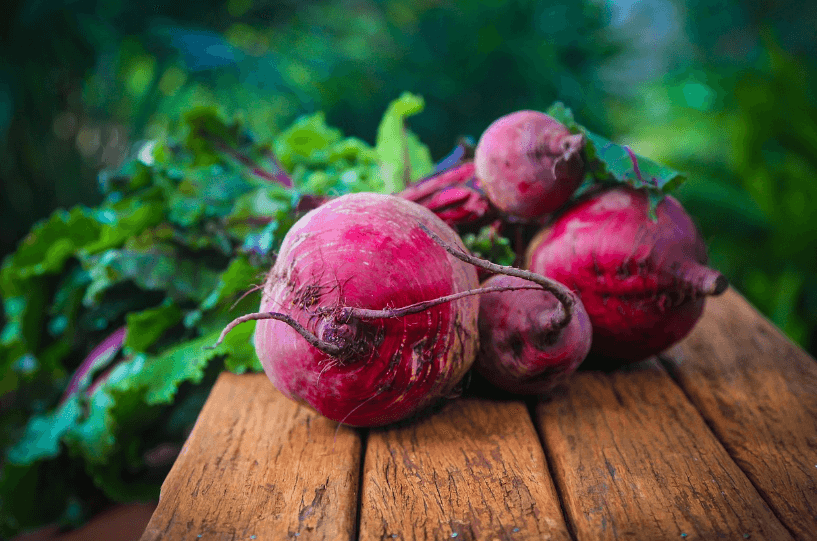뿌리채소 영양소 칼륨 비트 사진